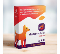 Приложение DataMobile Online